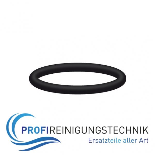 O - Ring 13 x 2